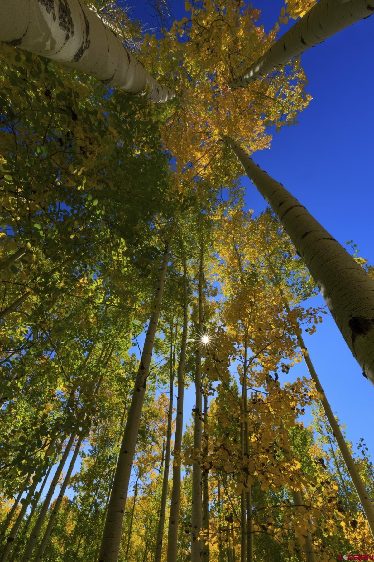 Tbd Story Fork Road Durango, CO 81301 - Photo 16 of 31