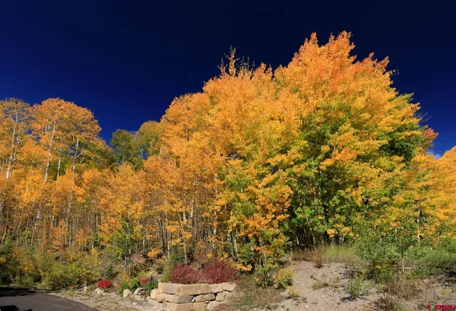 $299,000 | Tbd Story Fork Road, Durango, CO 81301