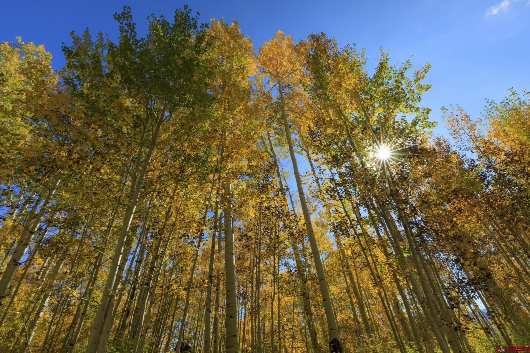 Tbd Story Fork Road Durango, CO 81301 - Photo 18 of 31