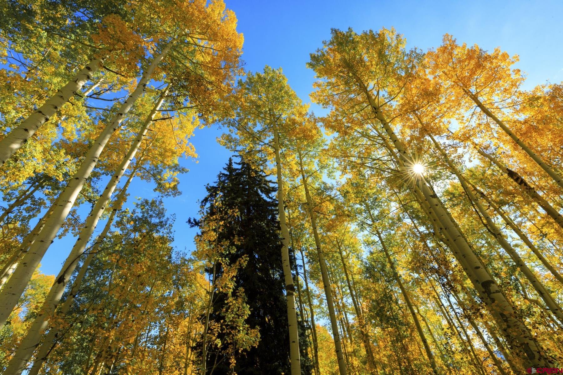 Tbd Story Fork Road Durango, CO 81301 - Photo 19 of 31