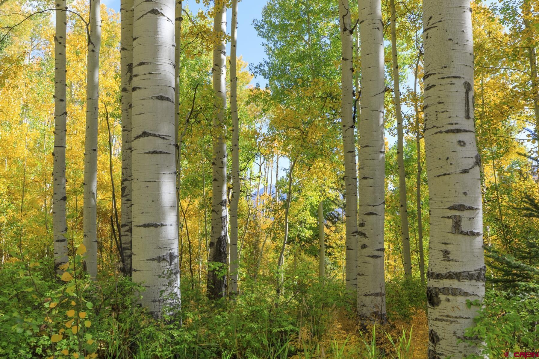 Tbd Story Fork Road Durango, CO 81301 - Photo 20 of 31