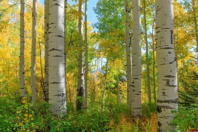 $299,000 | Tbd Story Fork Road, Durango, CO 81301