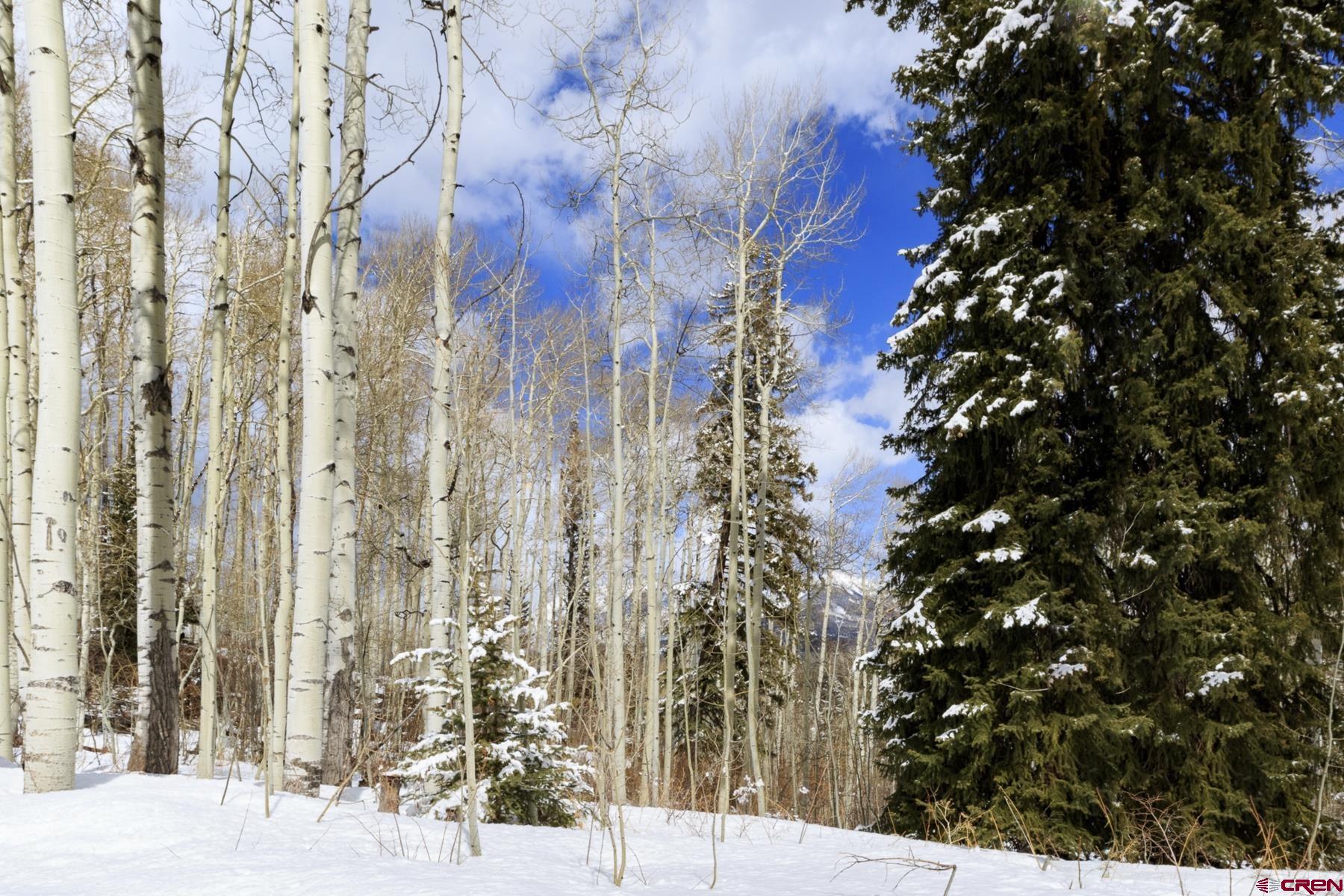 Tbd Story Fork Road Durango, CO 81301 - Photo 22 of 31