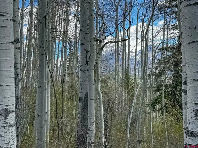 $299,000 | Tbd Story Fork Road, Durango, CO 81301