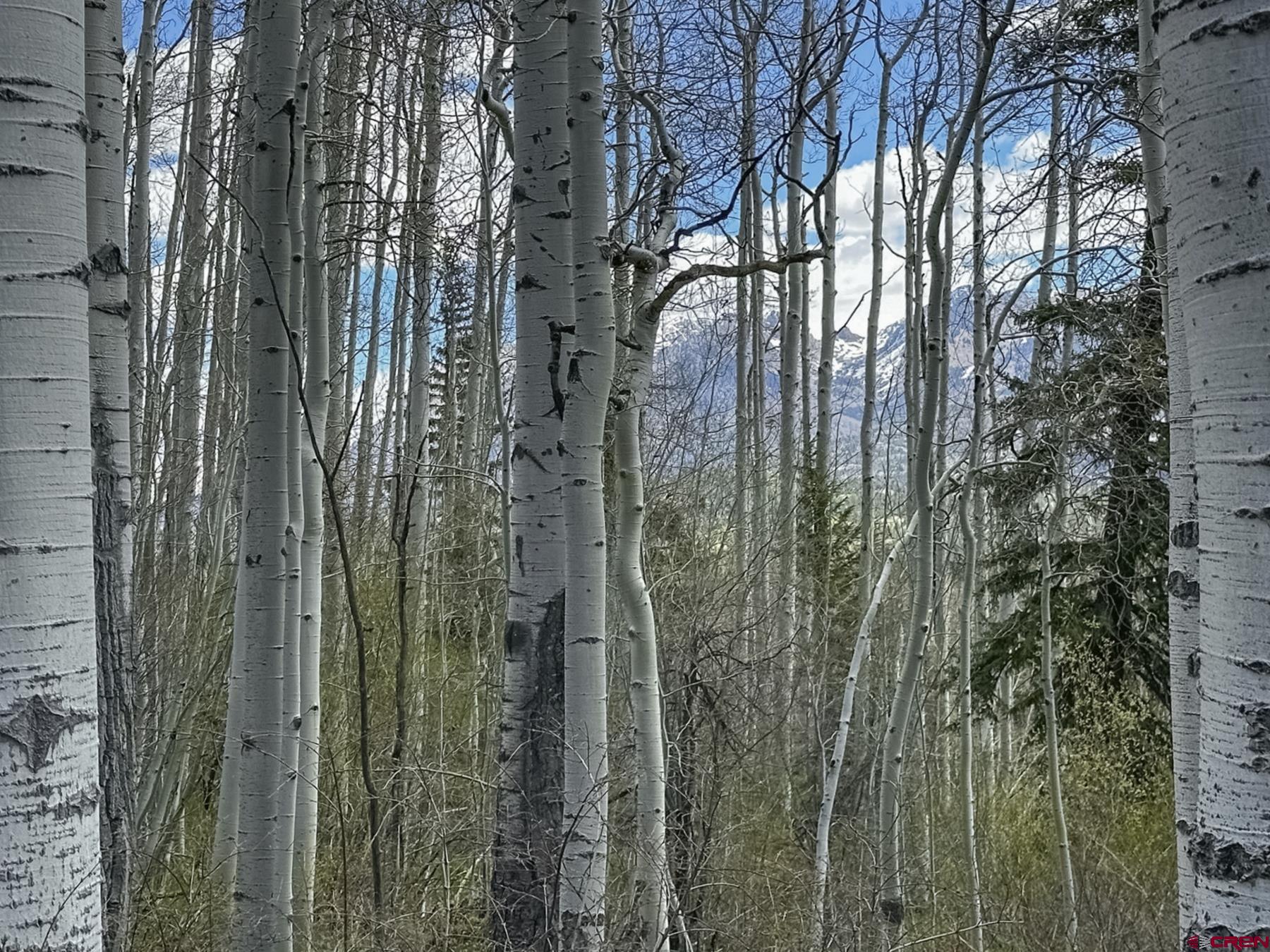 Tbd Story Fork Road Durango, CO 81301 - Photo 23 of 31