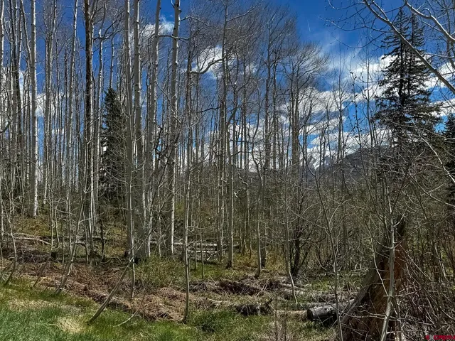 $299,000 | Tbd Story Fork Road, Durango, CO 81301