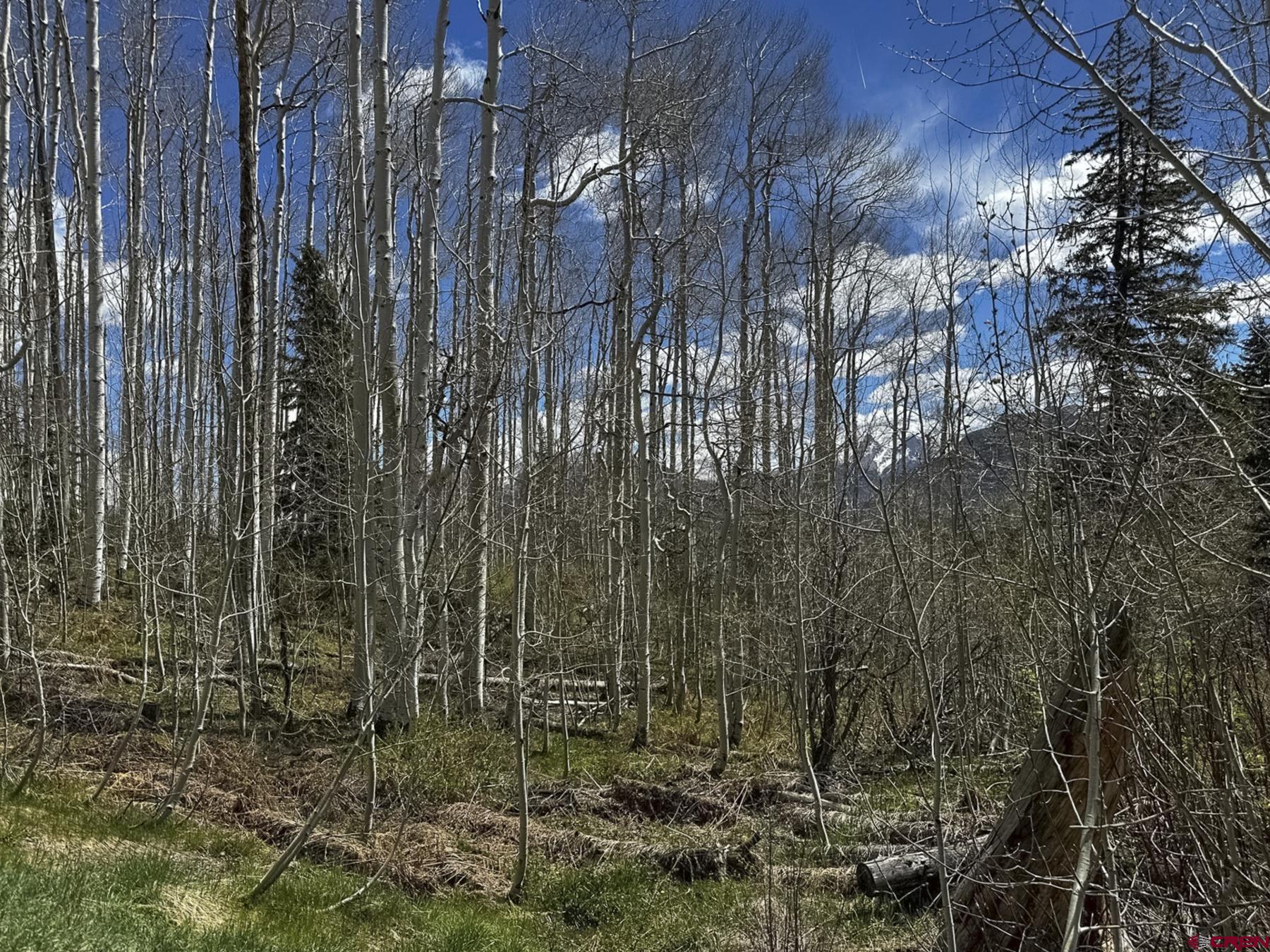 Tbd Story Fork Road Durango, CO 81301 - Photo 24 of 31