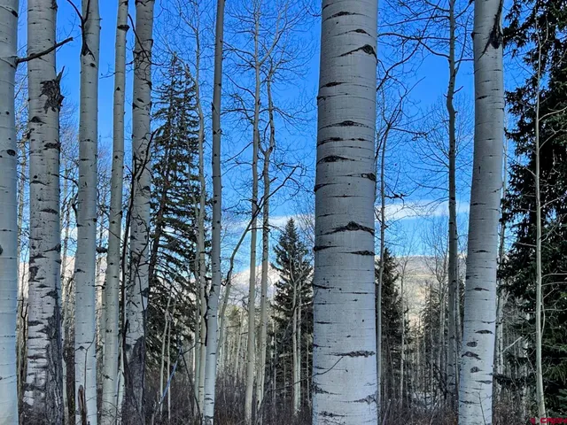 $299,000 | Tbd Story Fork Road, Durango, CO 81301