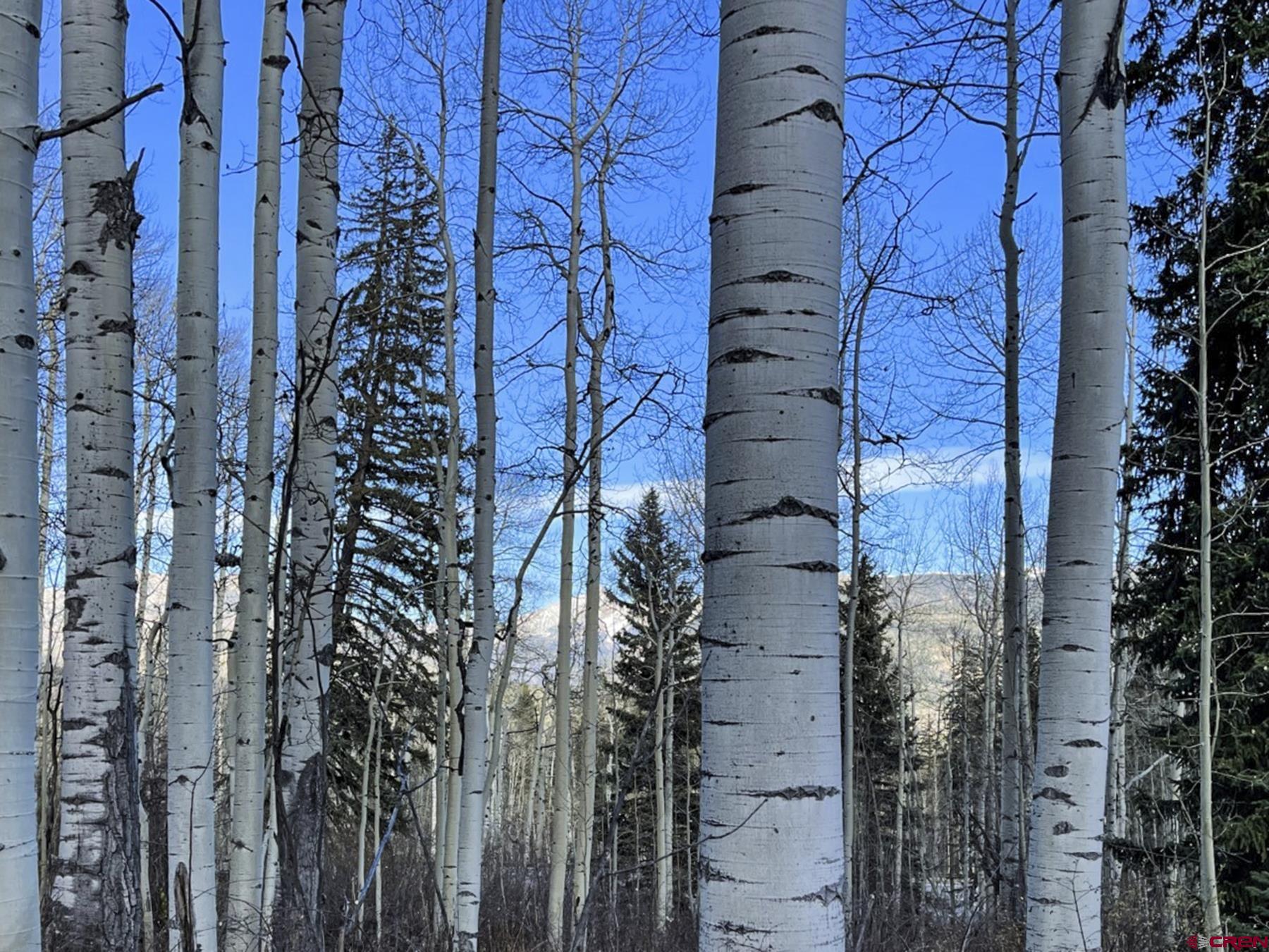 Tbd Story Fork Road Durango, CO 81301 - Photo 25 of 31