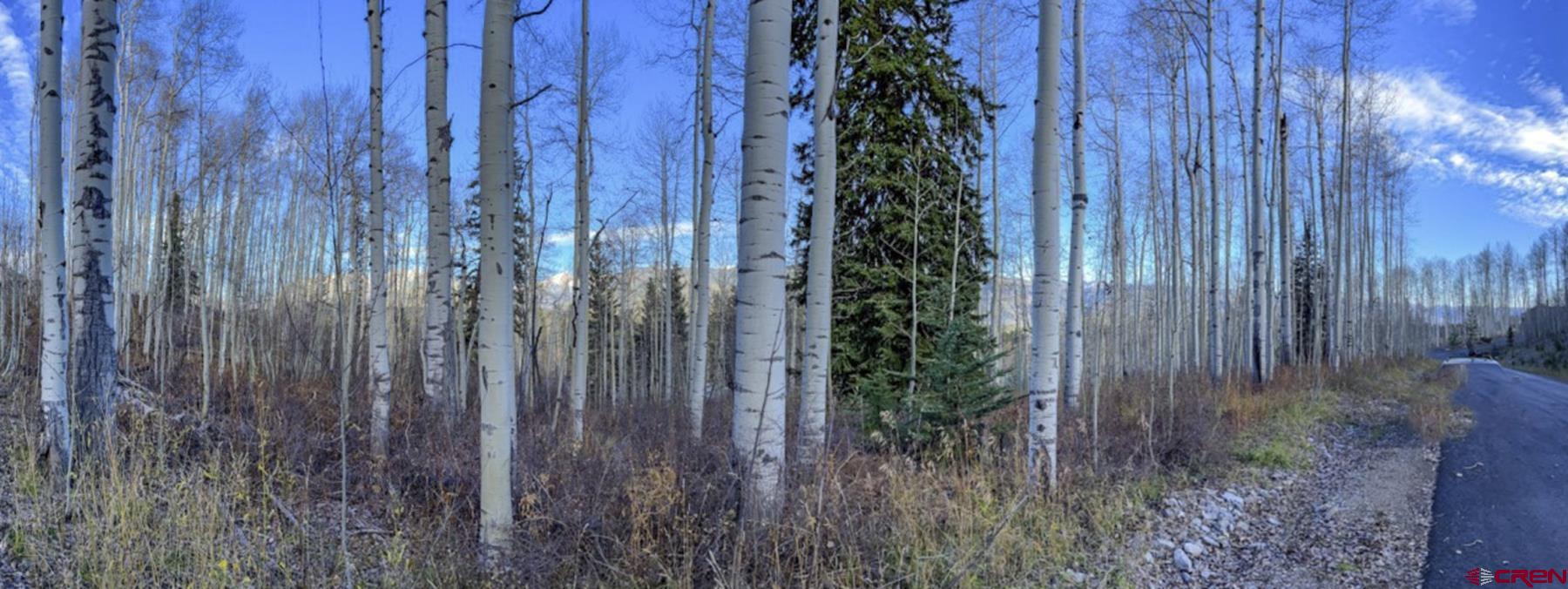 Tbd Story Fork Road Durango, CO 81301 - Photo 26 of 31