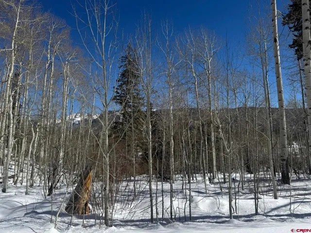 $299,000 | Tbd Story Fork Road, Durango, CO 81301