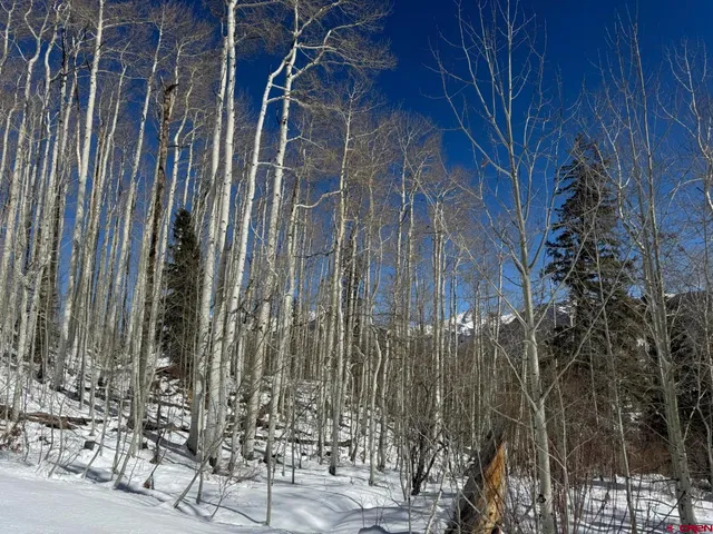 $299,000 | Tbd Story Fork Road, Durango, CO 81301