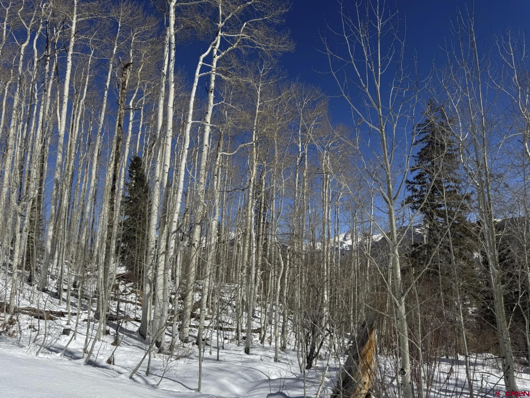 Tbd Story Fork Road Durango, CO 81301 - Photo 28 of 31