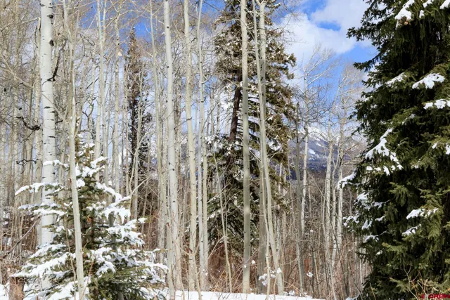 $299,000 | Tbd Story Fork Road, Durango, CO 81301