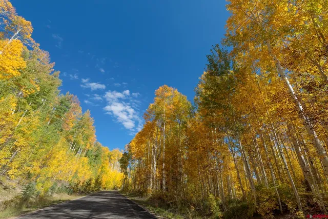 $299,000 | Tbd Story Fork Road, Durango, CO 81301