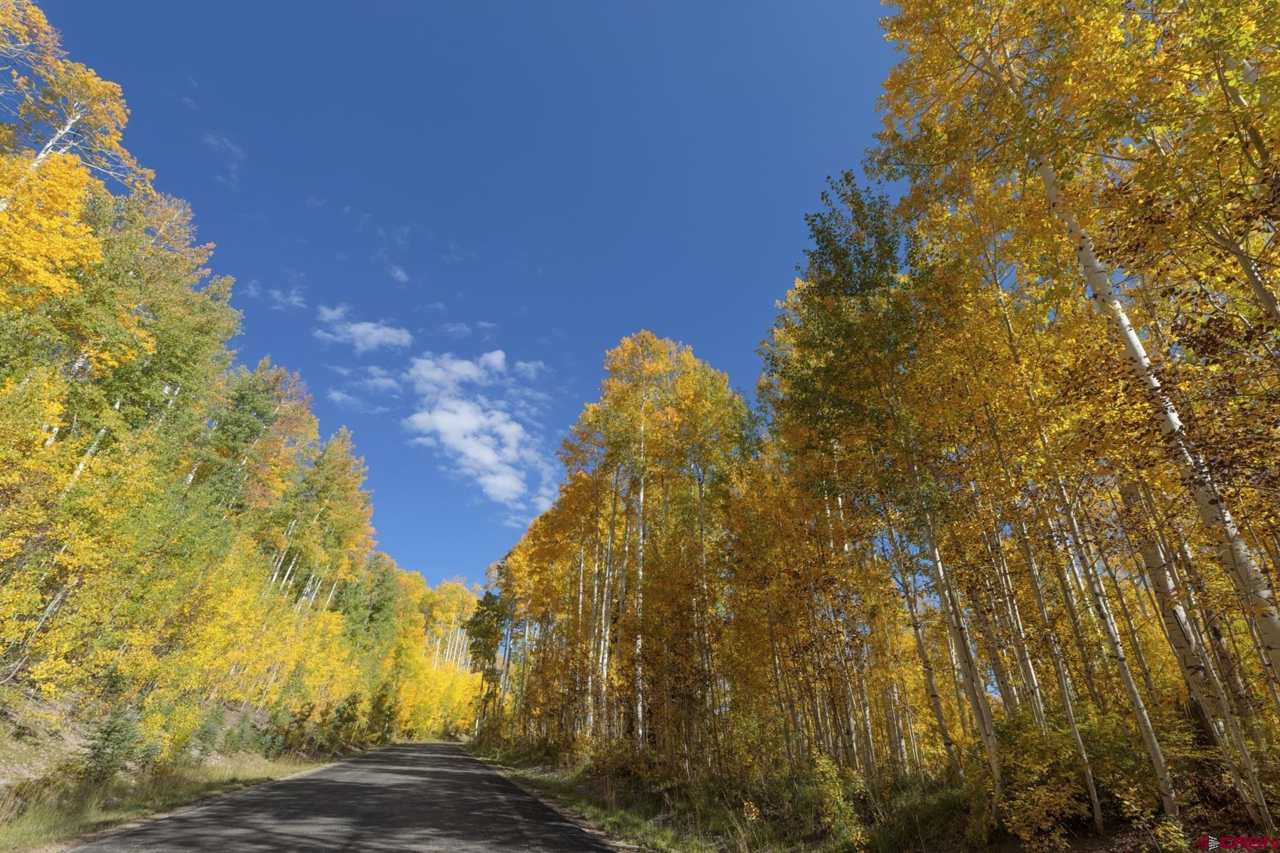Tbd Story Fork Road Durango, CO 81301 - Photo 5 of 31