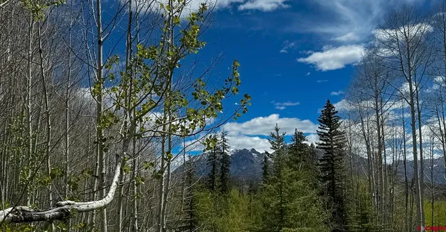 $299,000 | Tbd Story Fork Road, Durango, CO 81301