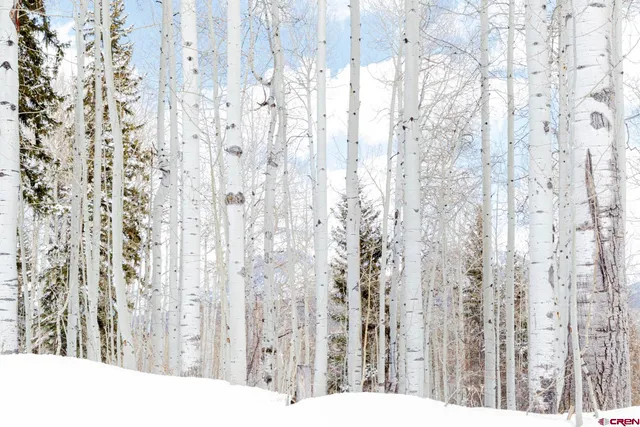 $299,000 | Tbd Story Fork Road, Durango, CO 81301