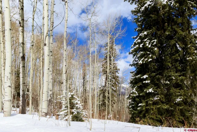 $299,000 | Tbd Story Fork Road, Durango, CO 81301