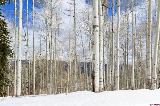 $299,000 | Tbd Story Fork Road, Durango, CO 81301