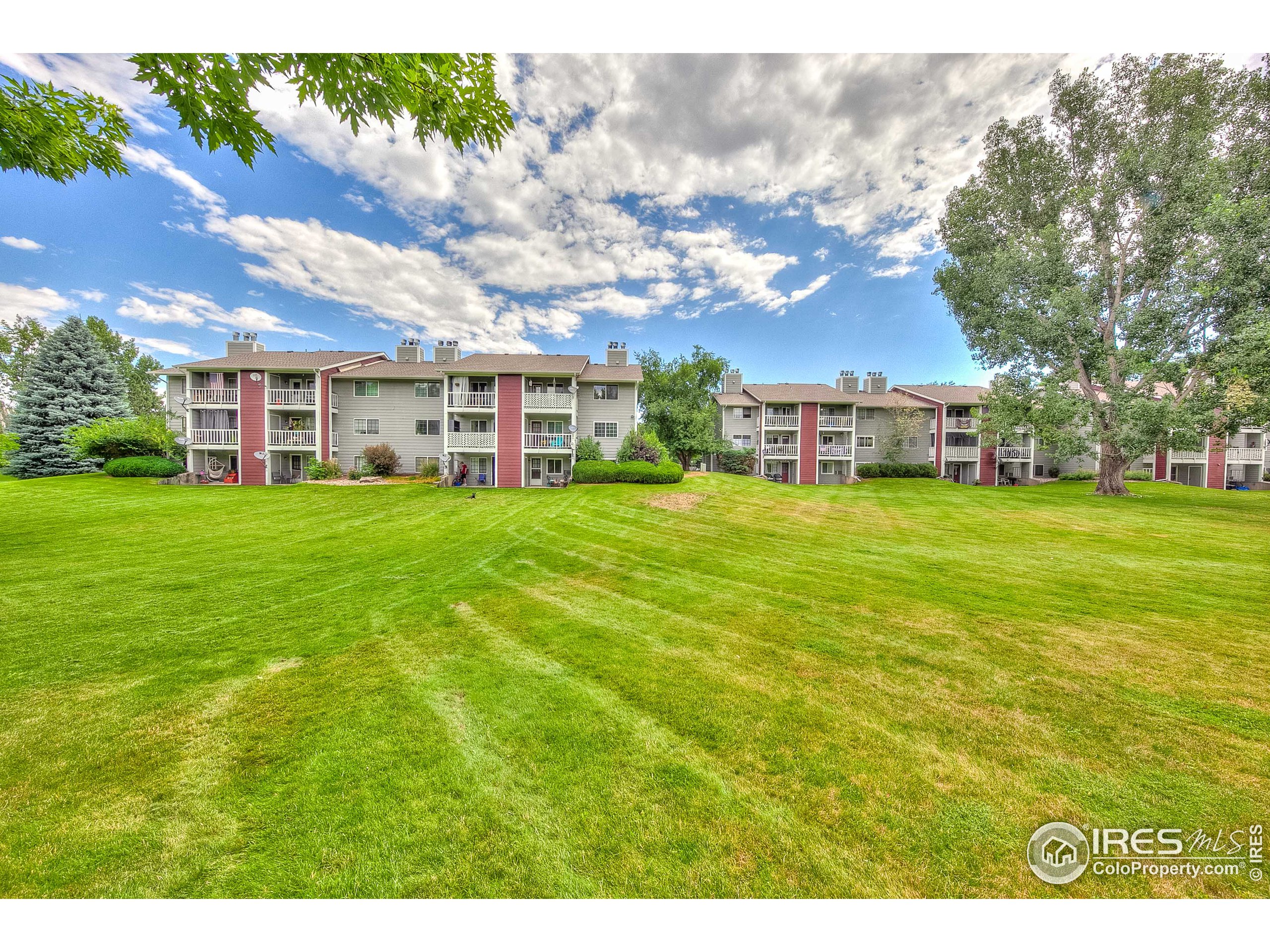 1640 Kirkwood Drive, Unit 2022 Fort Collins, CO 80525 - Photo 2 of 20 a view of a house with a big yard and large trees