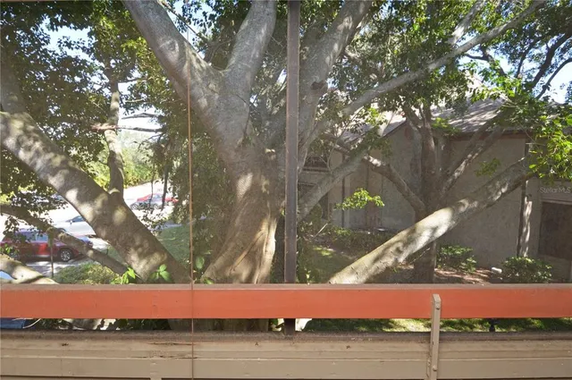 a view of a garden with swimming pool