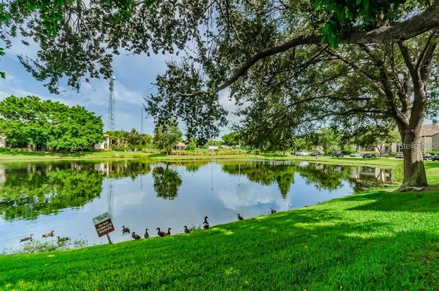 a view of a lake with houses in the background
