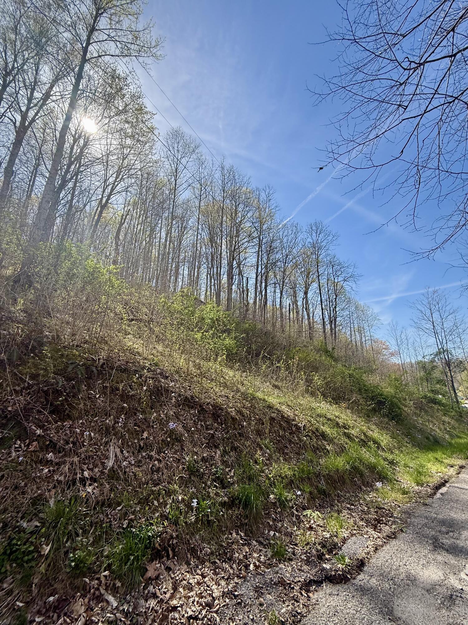 365 Ester Spur Road Waynesburg, KY 40489 - Photo 20 of 32 IMG_6449