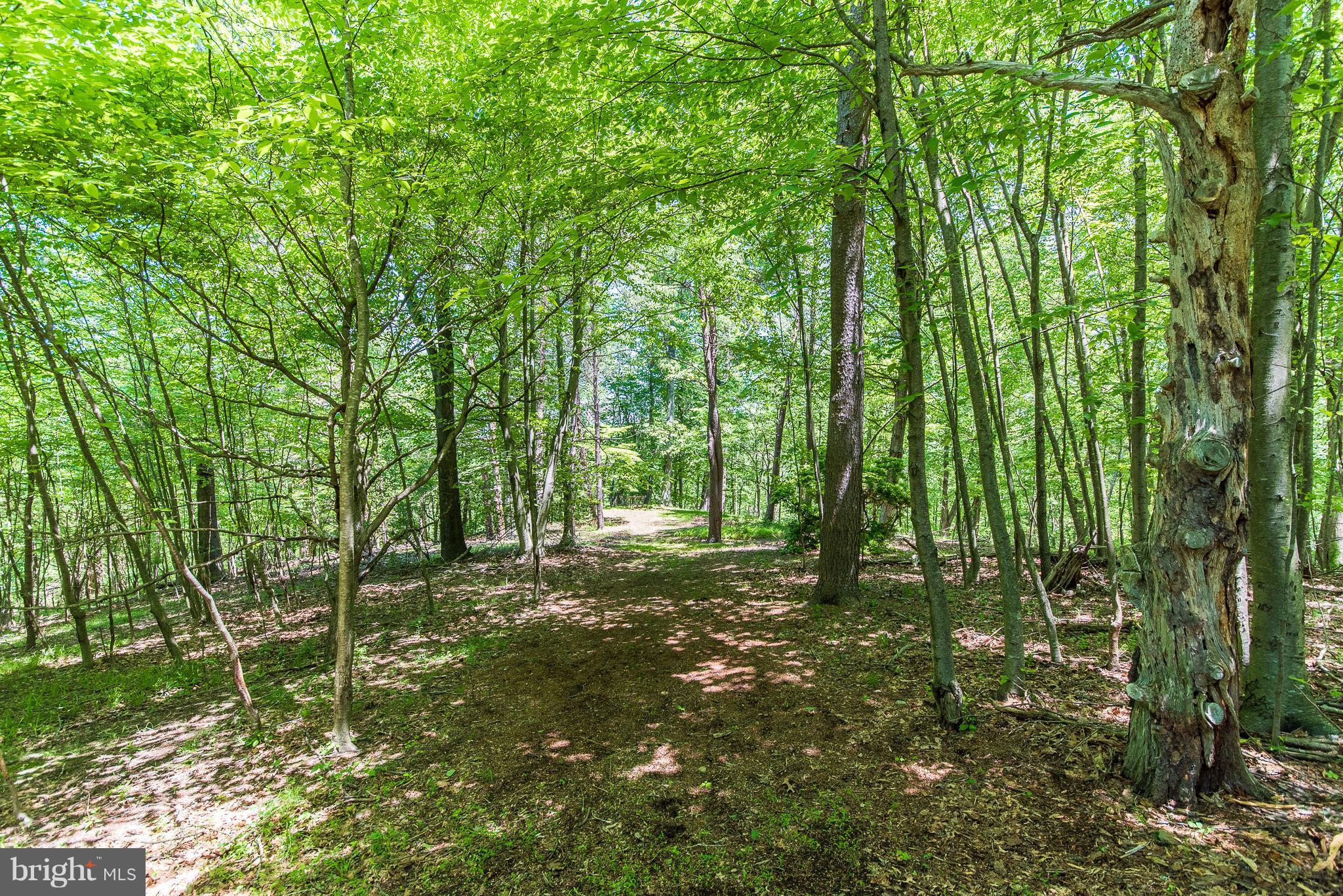 1030 Cockeys Mill Road Reisterstown, MD 21136 - Photo 26 of 29 View