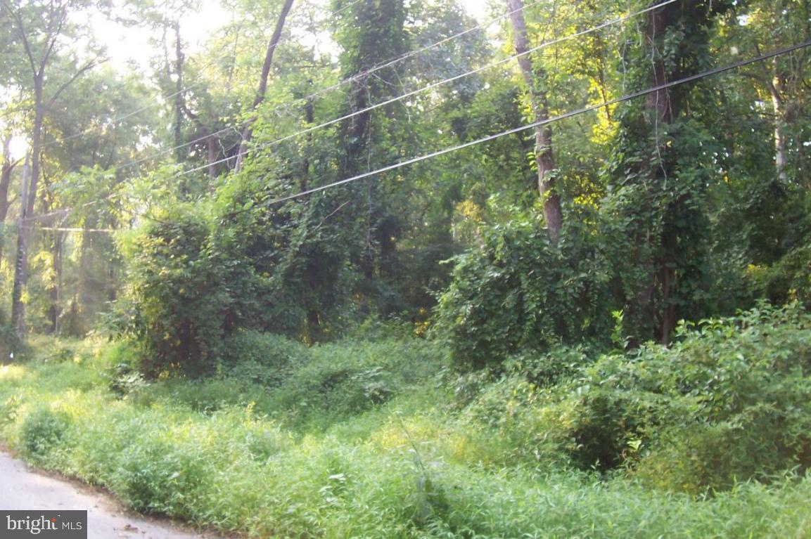 6 Old Post Road Landenberg, PA 19350 - Photo 3 of 6