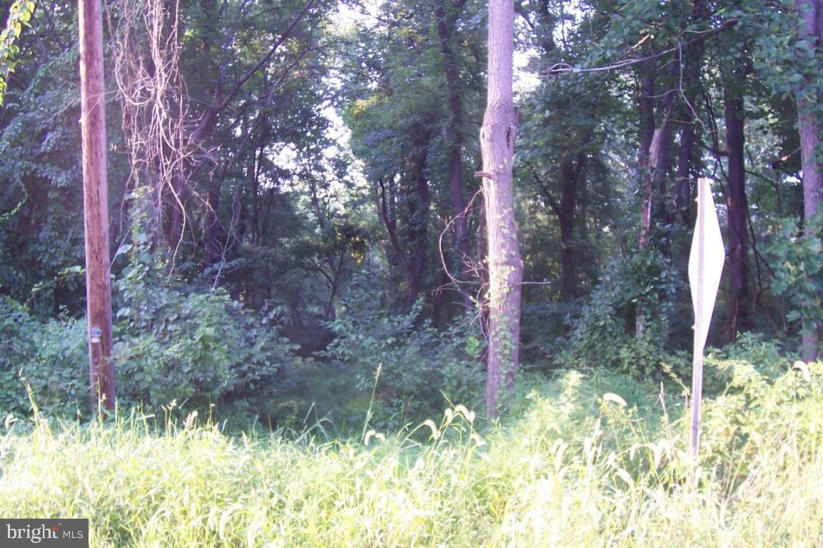 6 Old Post Road Landenberg, PA 19350 - Photo 4 of 6
