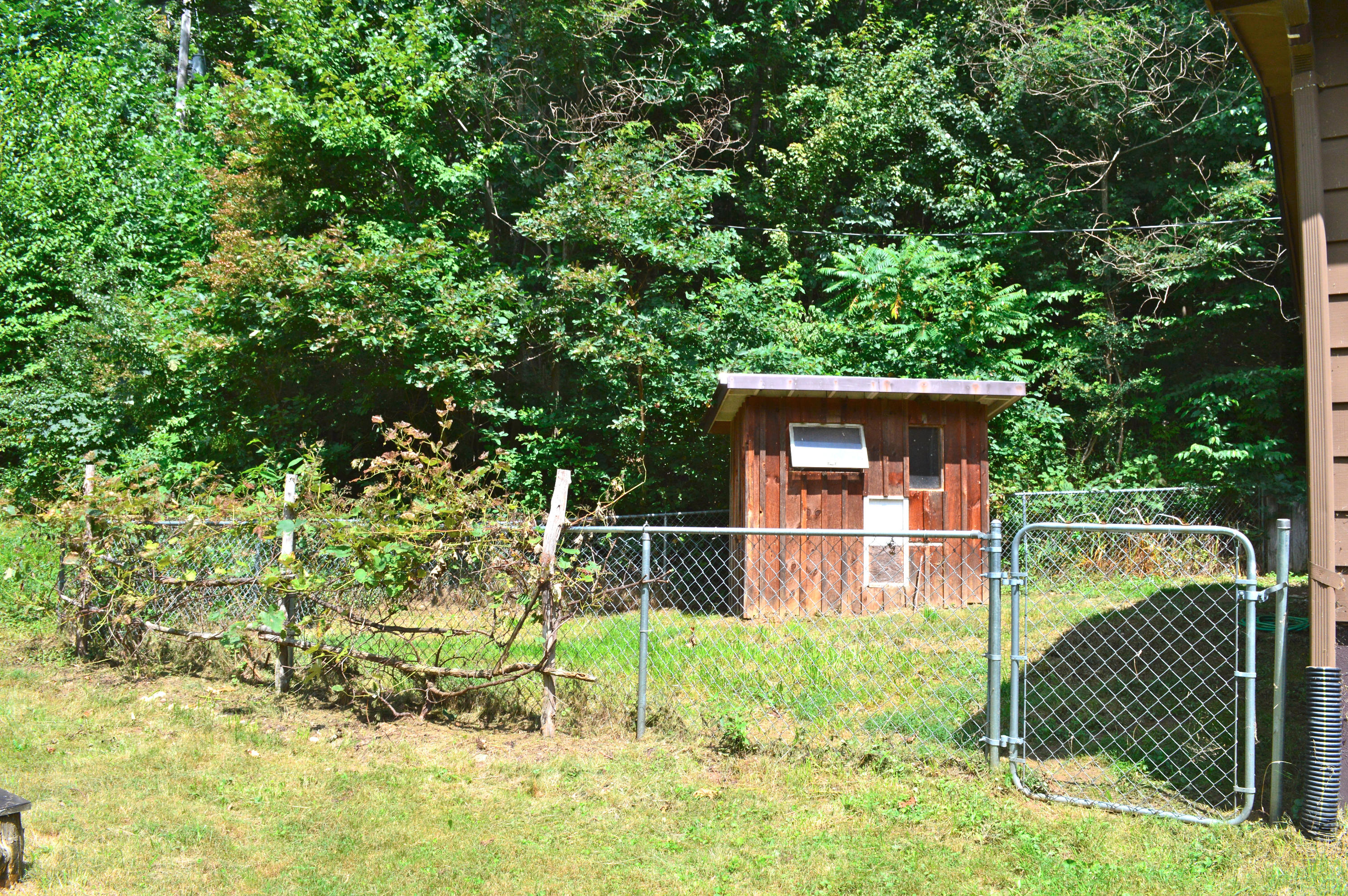 5075 Alum Ridge Road Northwest Riner, VA 24149 - Photo 22 of 28 a garden view