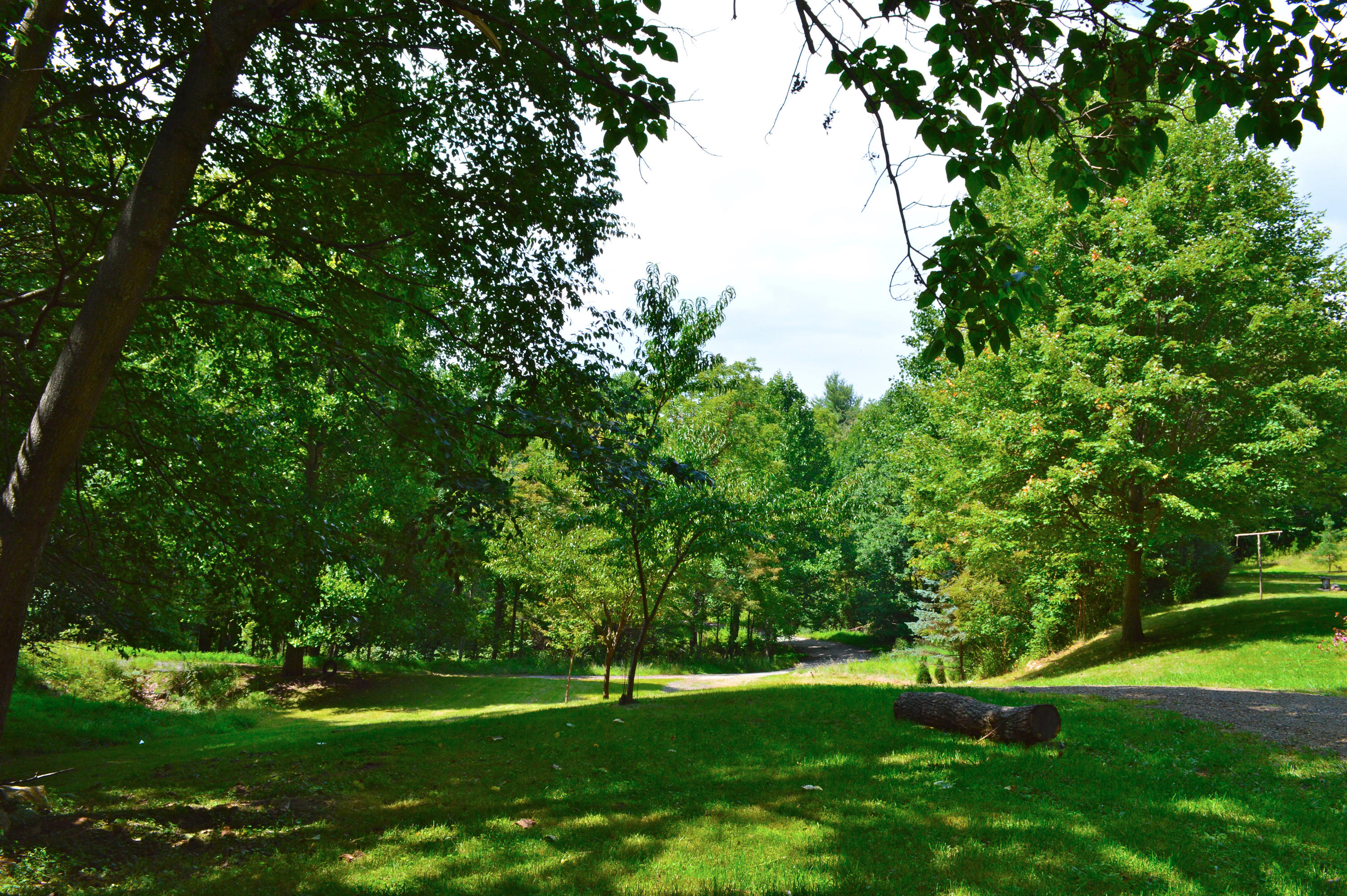5075 Alum Ridge Road Northwest Riner, VA 24149 - Photo 24 of 28 a garden with trees in front of it