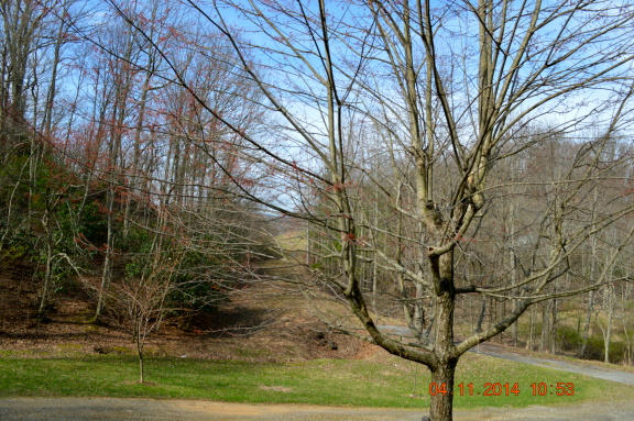 5075 Alum Ridge Road Northwest Riner, VA 24149 - Photo 27 of 28 a view of a yard in a yard