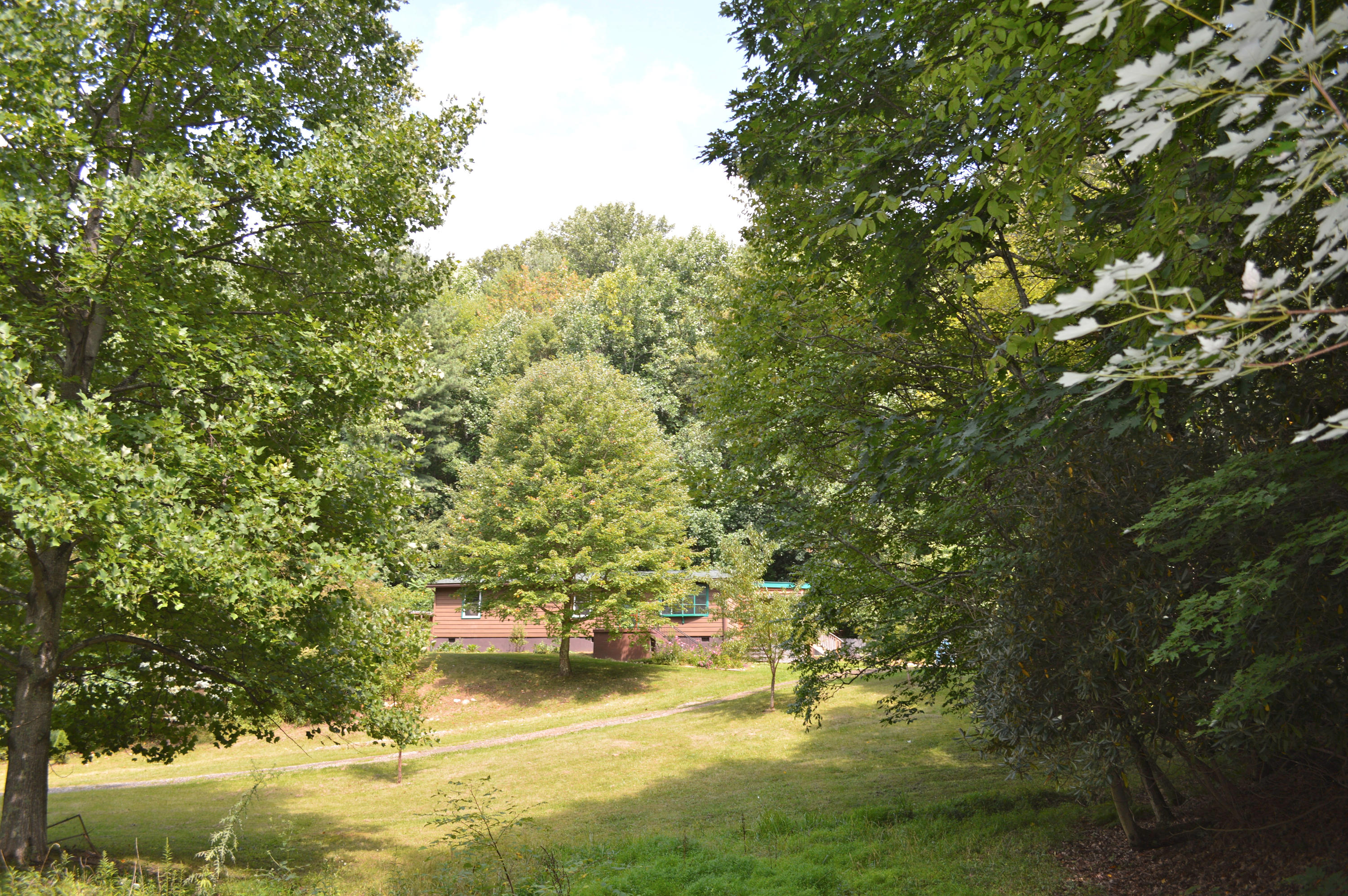 5075 Alum Ridge Road Northwest Riner, VA 24149 - Photo 28 of 28 a view of a tree with lawn chairs under an umbrella