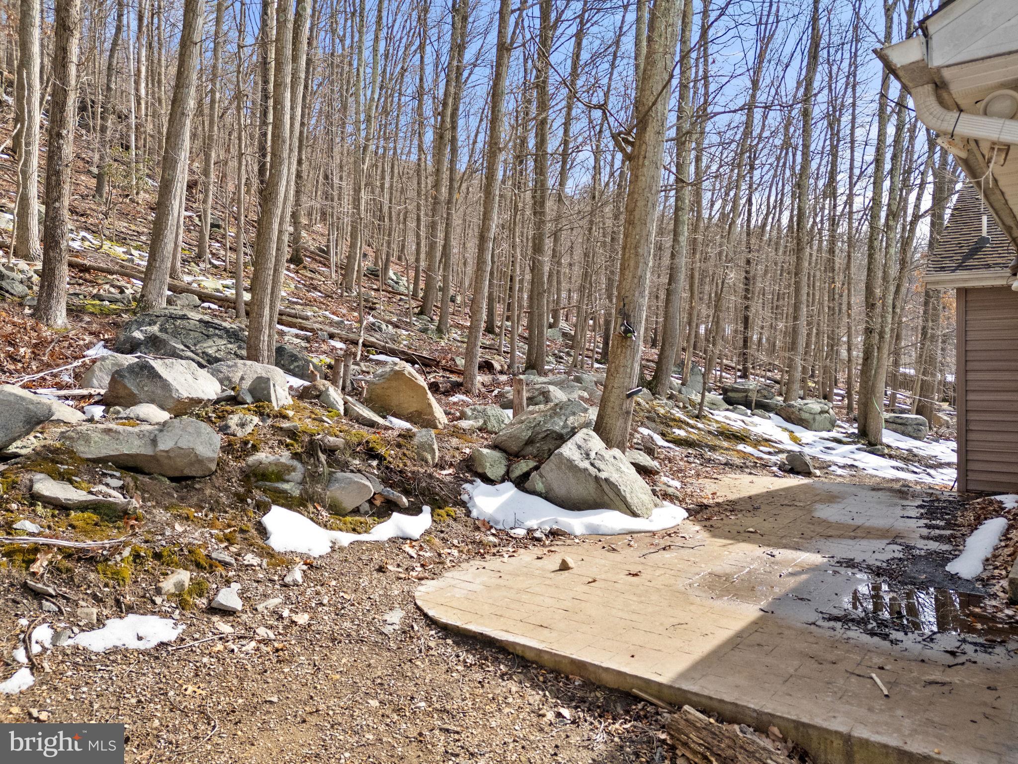 1194 Valley View Road Harpers Ferry, WV 25425 - Photo 42 of 49