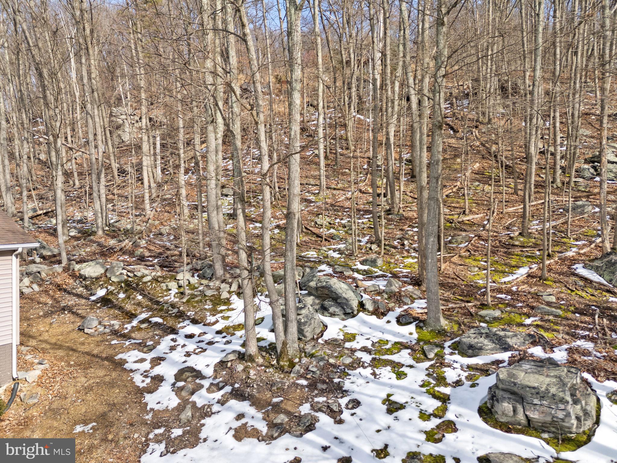 1194 Valley View Road Harpers Ferry, WV 25425 - Photo 45 of 49