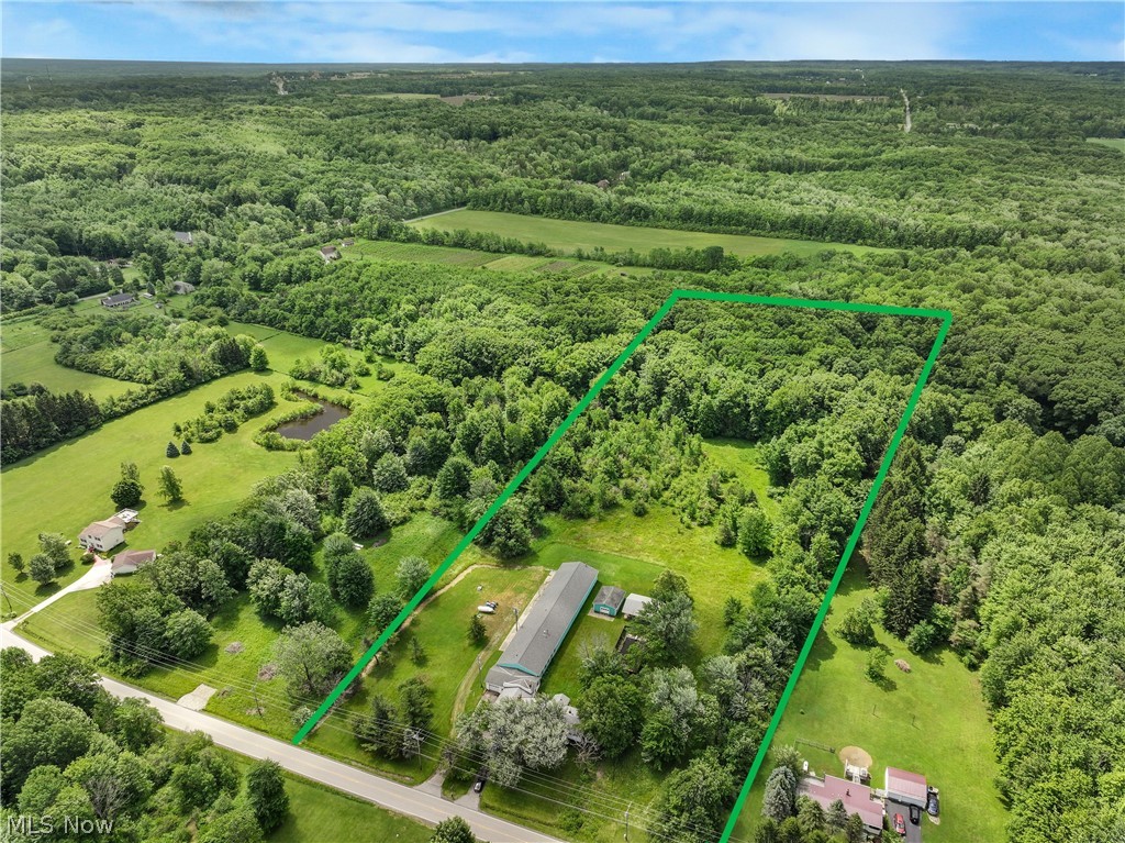 16107 Moseley Road Madison, OH 44057 - Photo 2 of 40 Expansive wooded acreage with a defined boundary, featuring dense tree coverage and open grassy areas