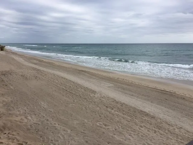 a backyard of a building