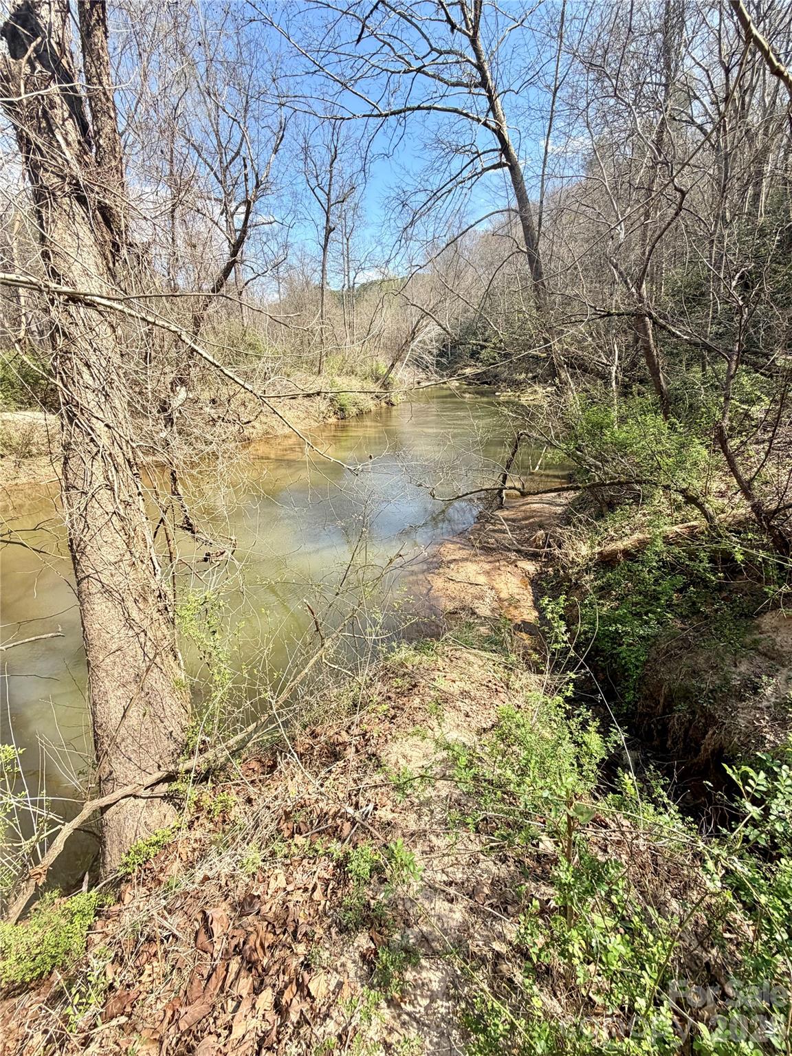 1218 Wittenburg Road Taylorsville, NC 28681 - Photo 3 of 22