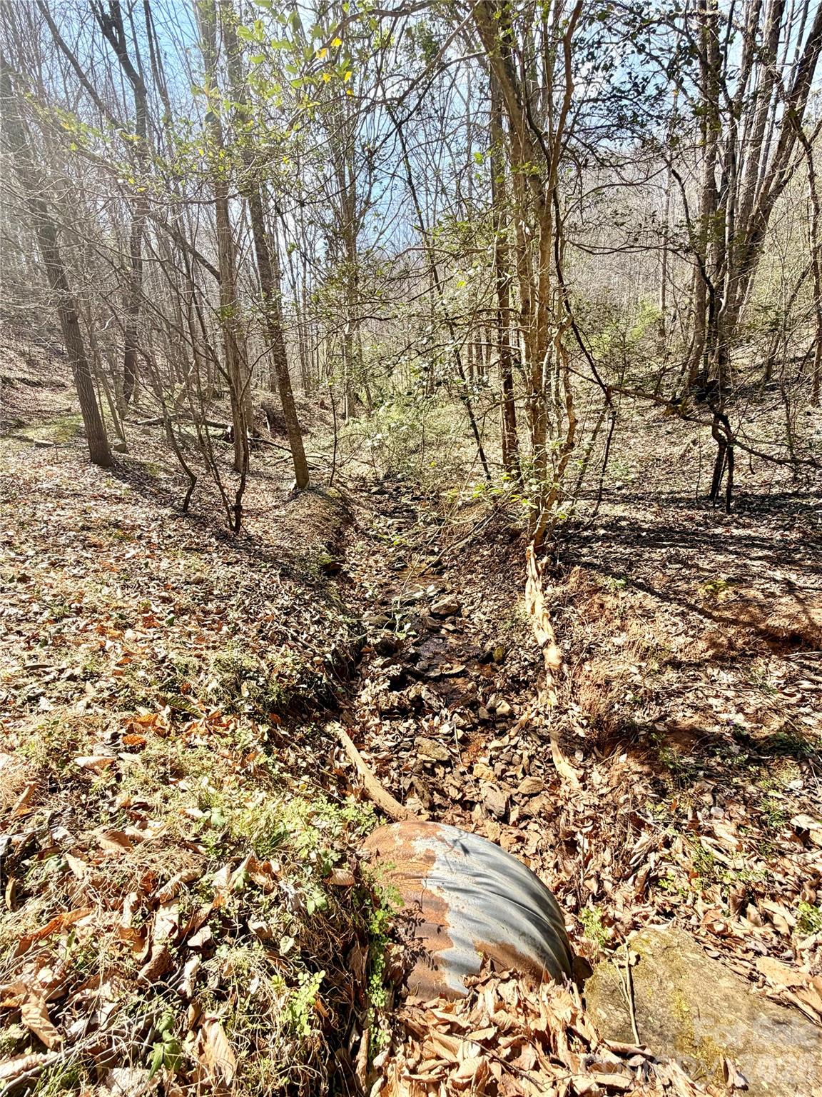 1218 Wittenburg Road Taylorsville, NC 28681 - Photo 4 of 22