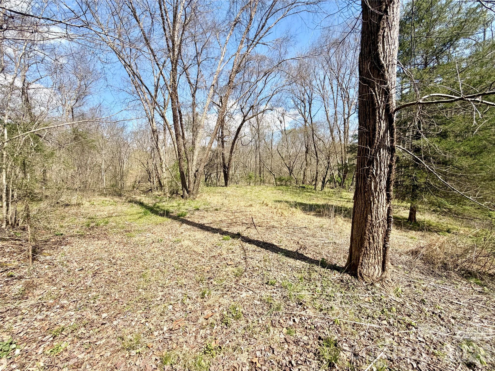 1218 Wittenburg Road Taylorsville, NC 28681 - Photo 6 of 22