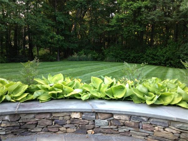 7 Joseph Road Hopkinton, MA 01748 - Photo 28 of 30 Gallery Image 28