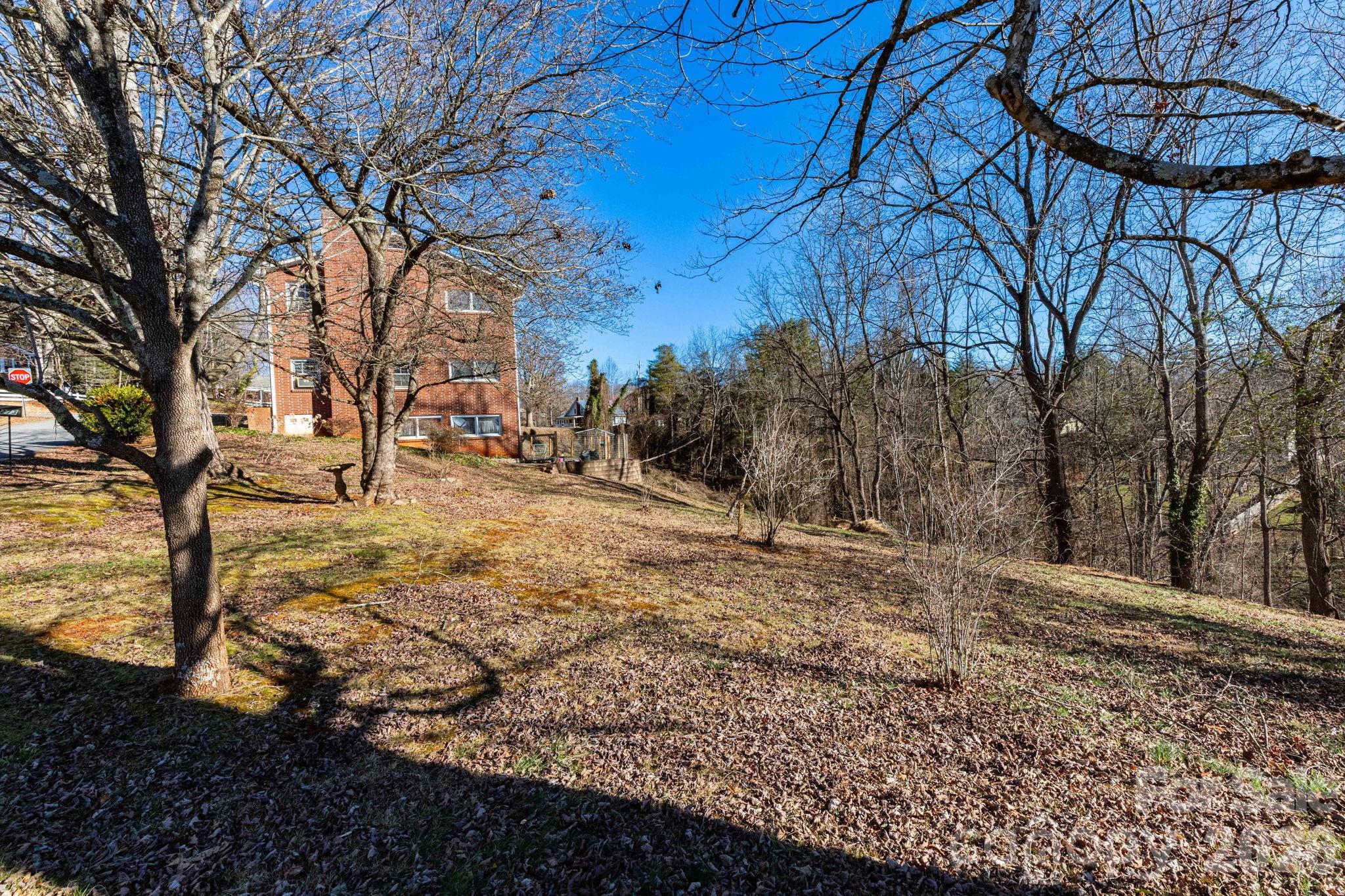 a view of a backyard with large trees