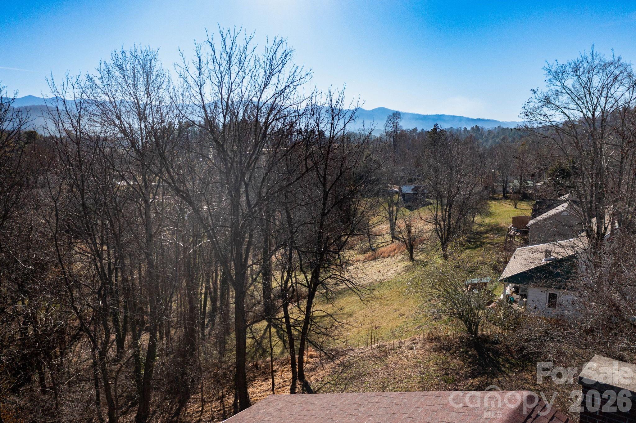 Tbd Chestnut Street Mars Hill, NC 28754 - Photo 12 of 12 a view of mountain view with lots of trees