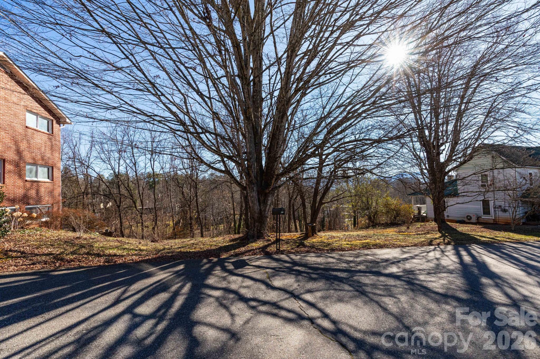 Tbd Chestnut Street Mars Hill, NC 28754 - Photo 3 of 12 a view of a yard with snow on the road