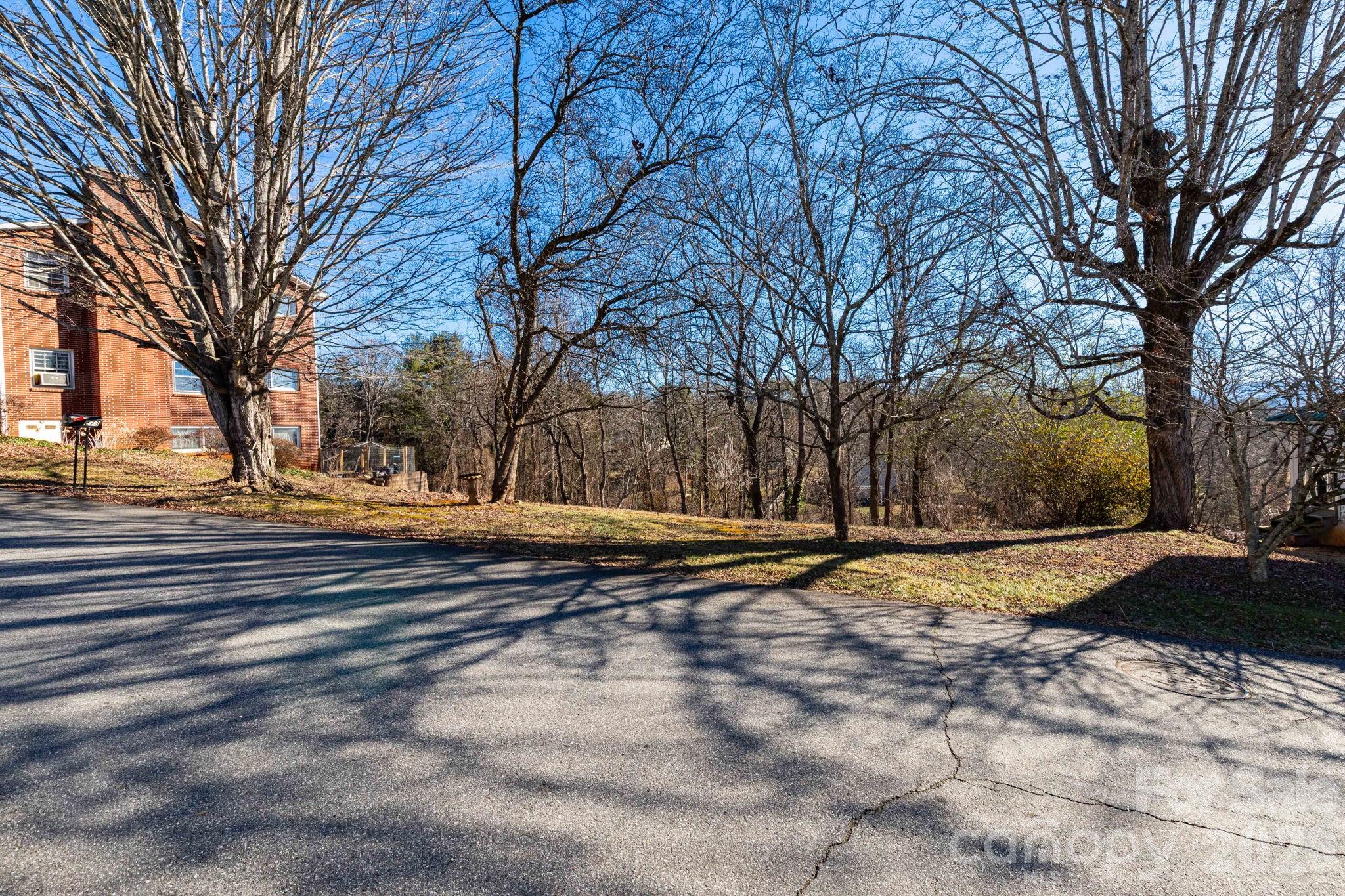 Tbd Chestnut Street Mars Hill, NC 28754 - Photo 4 of 12 a view of road with trees