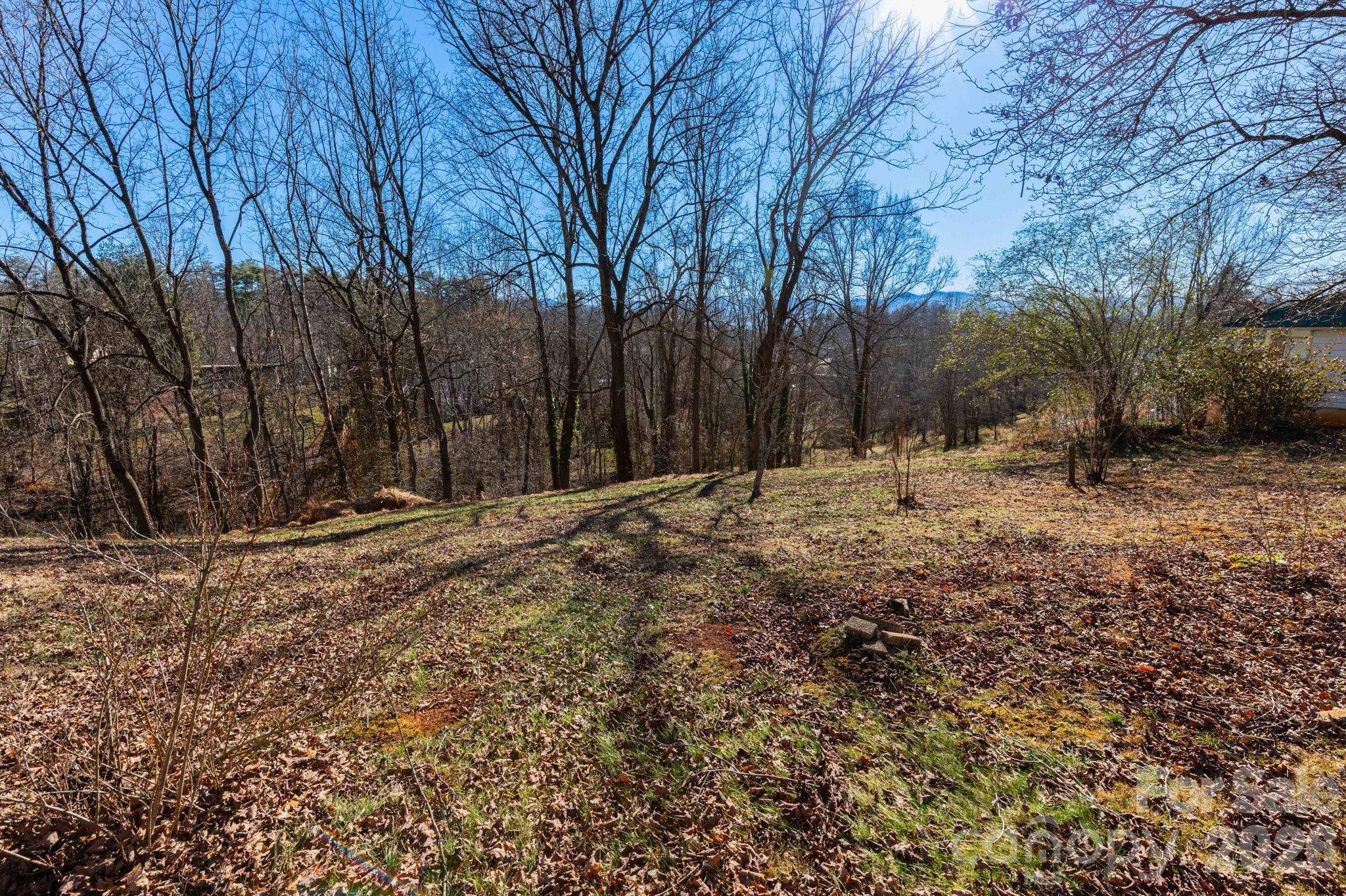 Tbd Chestnut Street Mars Hill, NC 28754 - Photo 5 of 12 a view of covered with snow