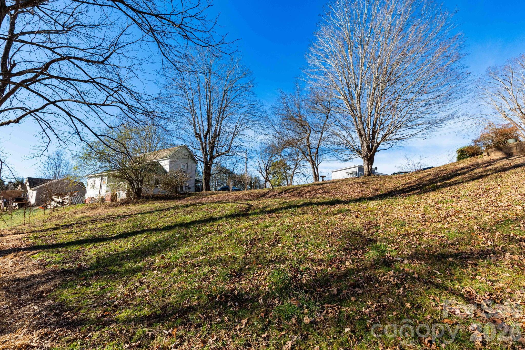 Tbd Chestnut Street Mars Hill, NC 28754 - Photo 6 of 12 a view of a yard with large trees
