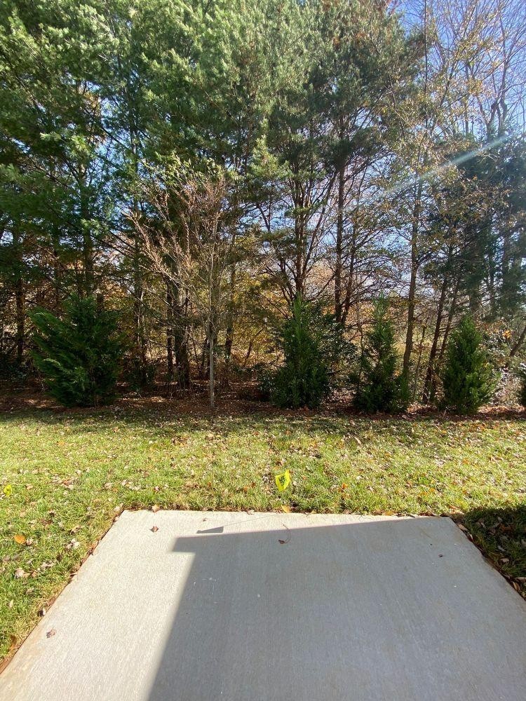 1780 Frodo Way Murfreesboro, TN 37128 - Photo 5 of 21 Gallery Image 5